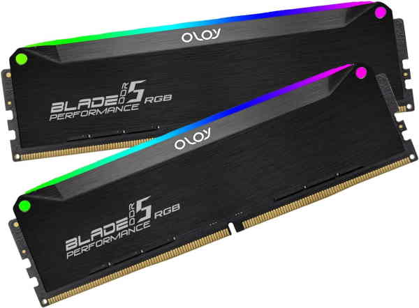 OLOy DDR5 RAM 48GB