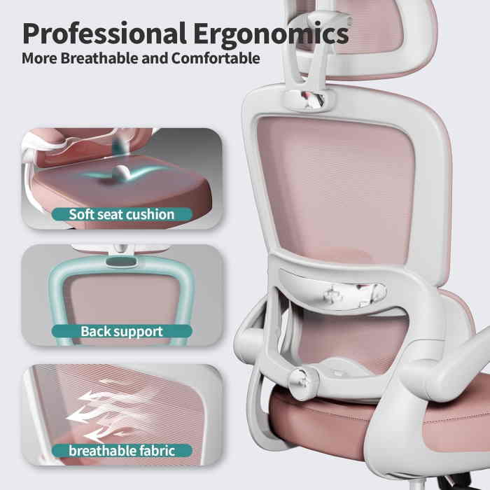 Tralt Ergonomic Office Chair (Pink) - Image 2