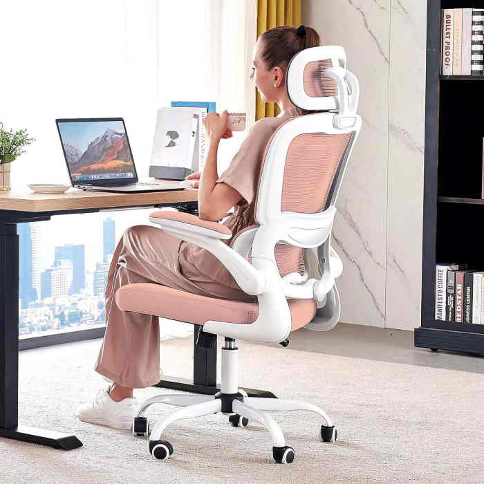 Tralt Ergonomic Office Chair (Pink)