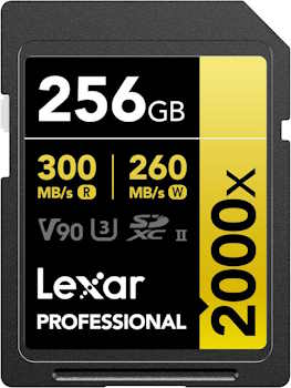 Lexar 256GB Professional 2000x